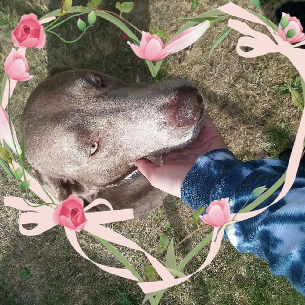 Meet your Posher, Kaitlynn